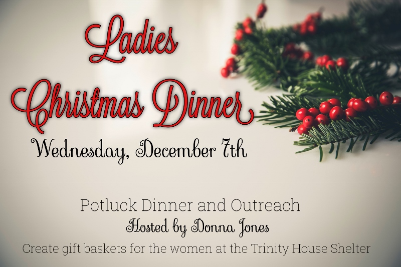 christmas holly decoration